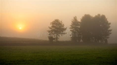 Sunrise At Foggy Meadow Stock Image Image Of Land Meadow 49501241