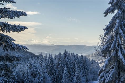 Free Images Landscape Nature Forest Outdoor Wilderness Branch Mountain Snow Winter