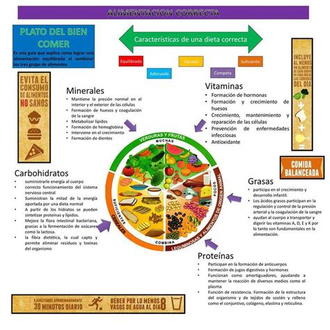 Cuadro Sin Ptico Del Plato Del Buen Comer En Libreta