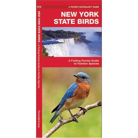 Pocket Naturalist Guides New York State Birds A Folding Pocket Guide