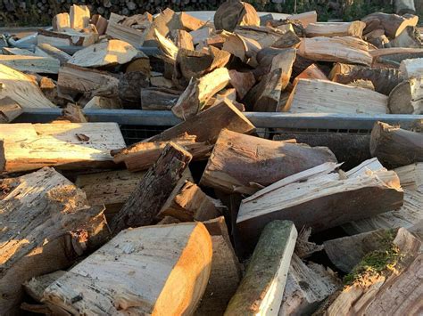 Is Cottonwood Good Firewood