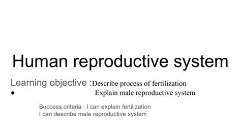 Human Reproductive System Grade Wk 2 Term 3