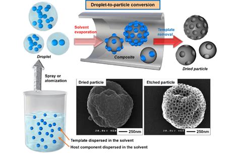 Schematic Illustration For The Porous Particle Formation The Paneled