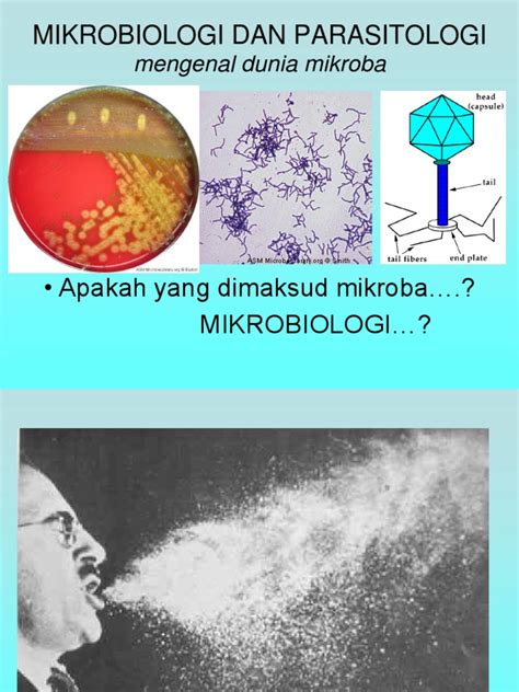 Definisi serum, vaksin, jenis kekebalan tubuh dan pengaruh bagi kesehatan. Dasar Dasar Mikrobiologi