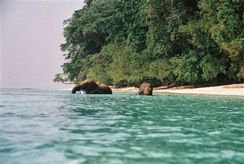 The Andaman And Nicobar Islands A Travel Guide Insight India A