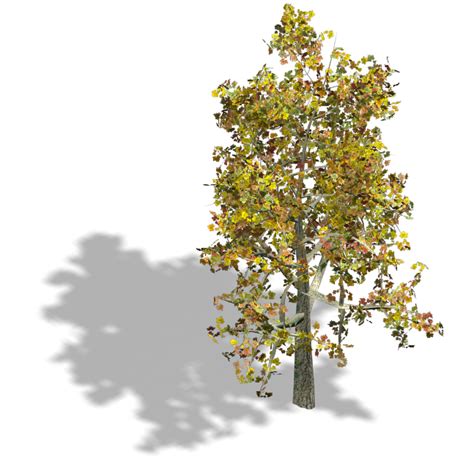 Tree Collection - Bleed's Game Art | OpenGameArt.org