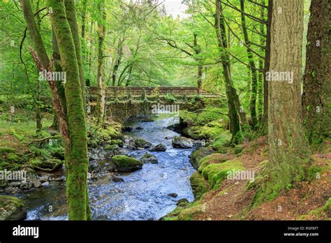 Old Stone Bridge Over Scottish Stream Stock Photo Alamy