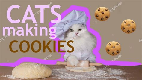 Cats Making Cookies Funny Cat Video Youtube