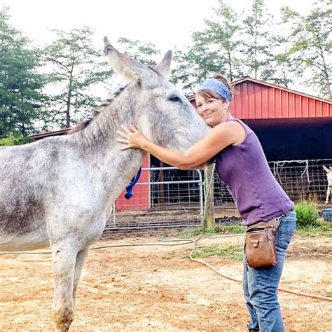 Donkey Listeners Instagram Photo Training Session With Traveller