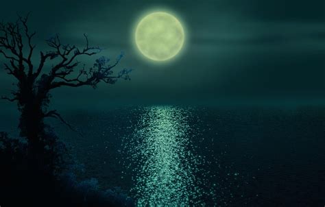 Wallpaper The Ripples On The Water The Moon Lonely Tree Night River