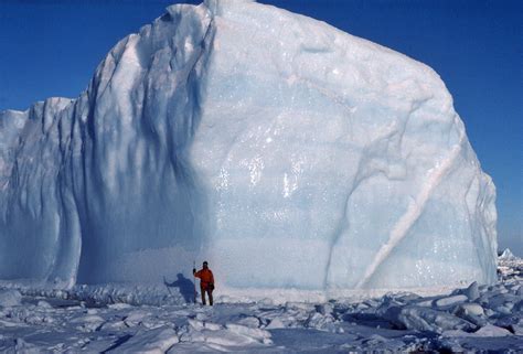 Satellite images captured the moment it broke off from the ice sheet, shown in the tweet below: UAE to tow an iceberg for water needs from Antarctica by ...