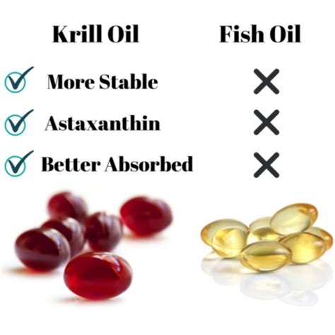 Krill Oil Vs Fish Oil Benefits What Should You Be Taking