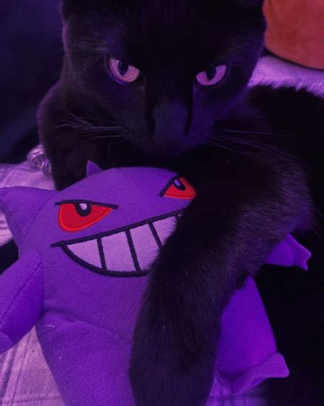 Cat With Gengar Plushie Icon Pfp Led Lights Y2k Wallpaper Purple