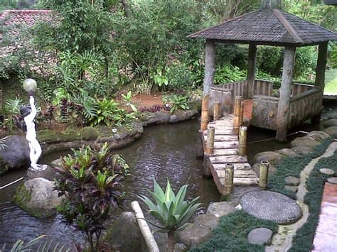 Contoh desain rumah tinggal komplit, gratis ! CONTOH DESAIN GAMBAR TAMAN RUMAH - Budidaya Pertanian