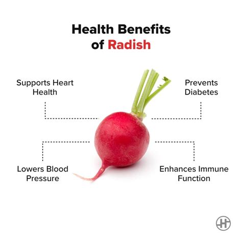 Radish Benefits Nutrition Value Recipes HealthifyMe