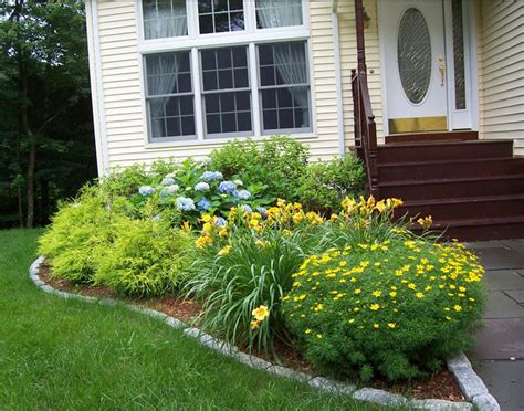 When choosing plants aim for 50% evergreens, 25% deciduous or flowering shrubs, and 25% perennials. Build shed: Teach you Shade plants for foundation plantings
