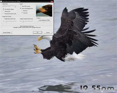 49 Bing Wallpapers And Screensavers Birds Wallpapersafari