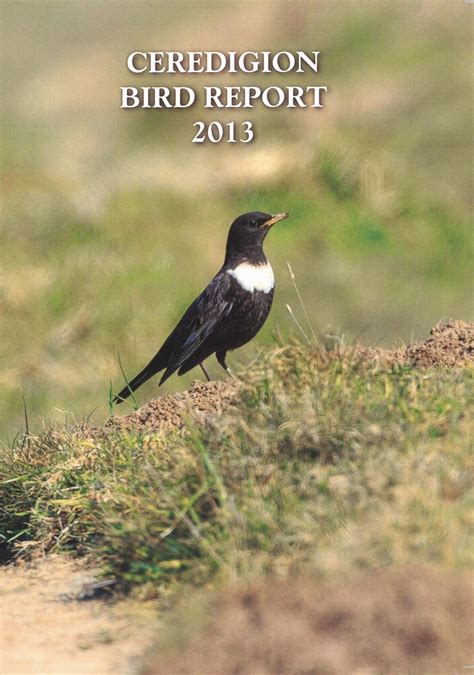 Ceredigion Birds Ceredigion Bird Report 2013