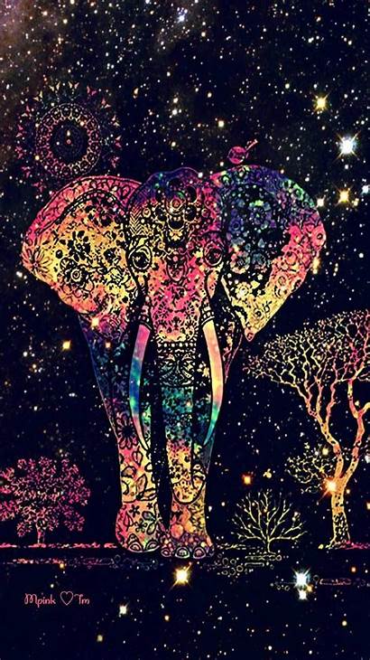 Elephant Galaxy Safari Phone Wallpapers Iphone Backgrounds
