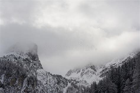 Mountain Panorama Trees Snow Winter Stubai Alps Photos Free And Royalty