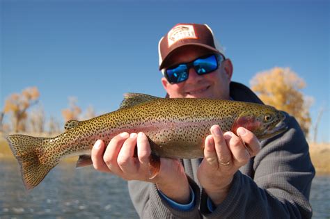 Fly Fishing The Green River — Park City Fly Fishing Guides Provo