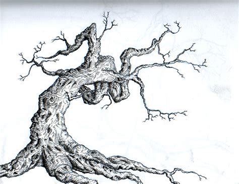 How To Draw Dead Tree Branches