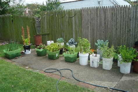 Check spelling or type a new query. What vegetables can be grown in pots and containers ...