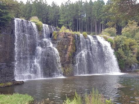 Forest Falls Nature Walk Sabie 2021 All You Need To Know Before You