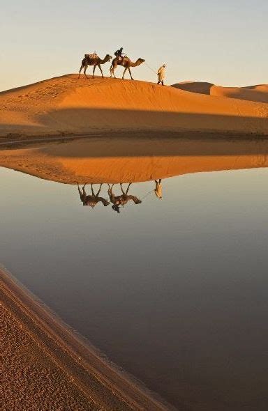 17 Best Images About Beautiful Desert Scenery On Pinterest