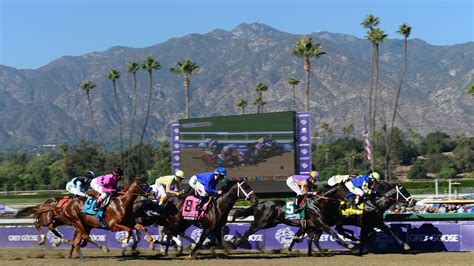 Why Have 21 Horses Died At A California Racetrack Since December? | NPR