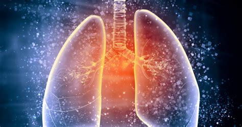 Compete risk free with $100,000 in virtual cash. FAQs About Cystic Fibrosis - Cystic Fibrosis News Today