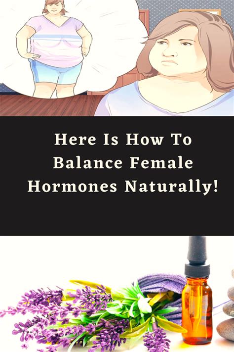 Here Is How To Balance Female Hormones Naturally Info Harian Jogja