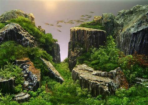 #takashi amano #aquascaping #oceanario #lisboa #lisbon #aquarium #fish #original photography #original photographers. How Takashi Amano Takes Nature Photography to New Depths