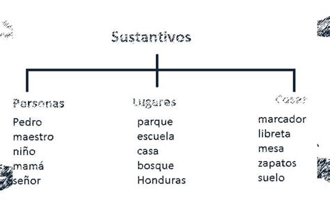 Sustantivos ¿que Son Definición Tipos Ejemplos Y Clasificación 2022