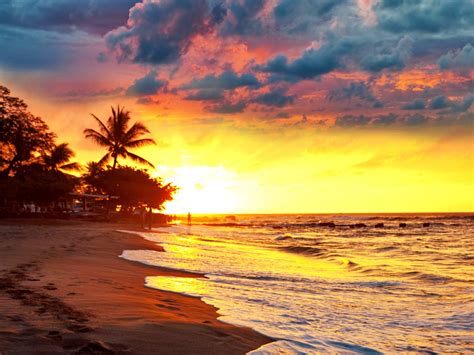 Tropical Paradise Beach Palms Sea Sunset Palm Tropics Sand