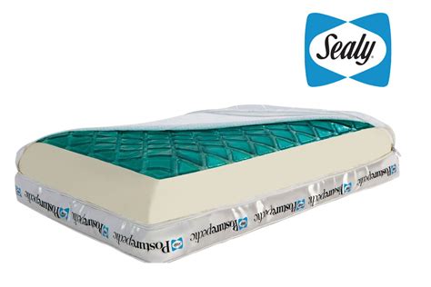 Conforming memory foam with a refreshing gel layer for cool comfort. Sealy Reversible Hybrid Gel Pillow