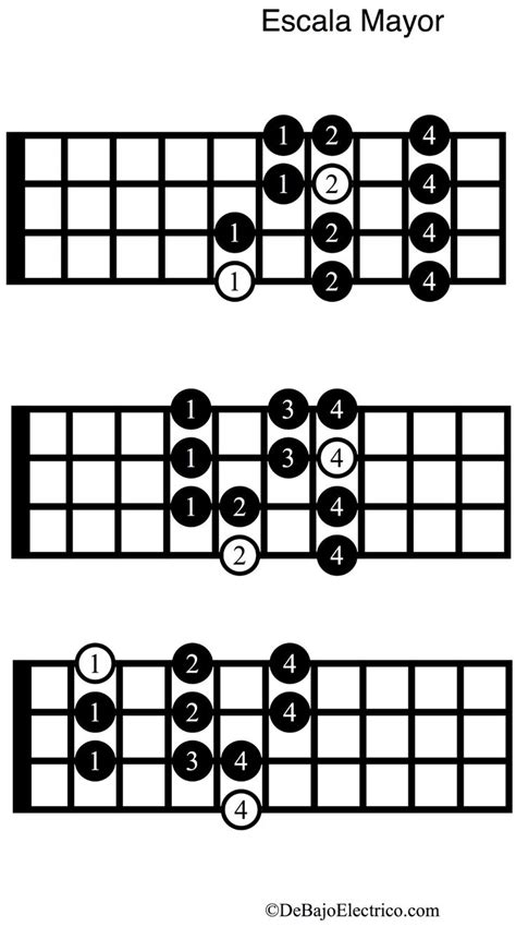 Escala Mayor Para Bajo ElÉctrico【pdf】 Con 3 Digitaciones Bajo