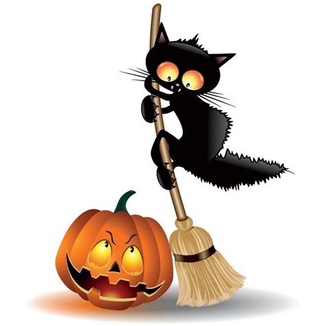 Black Cat Halloween Pumpkin Vector Scarcy Black Cat With Halloween