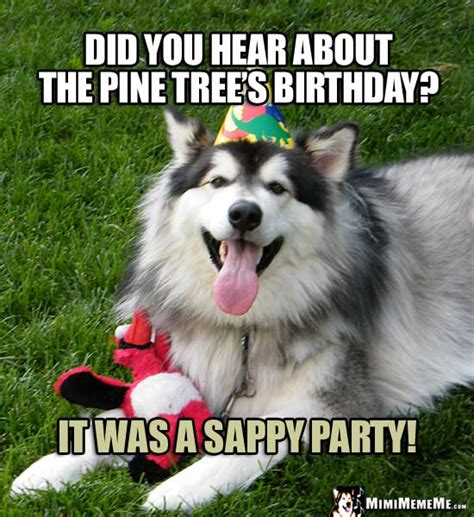 Happy Birthday From Dog Funny Dog B Day Jokes Doggie Style Party