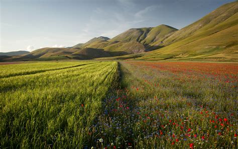 Italy Scenery Mountains Fields Poppies Castelluccio Umbria