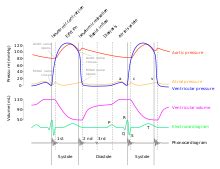 Summarize the events of the cardiac cycle. Wiggers diagram - Wikipedia