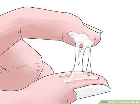 How To Feel Your Cervix 9 Steps With Pictures WikiHow