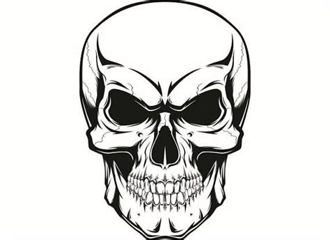 Download Image result for skull svg | Skull, Human skull, Skull art
