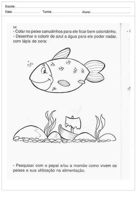 Atividades Sobre Os Peixes