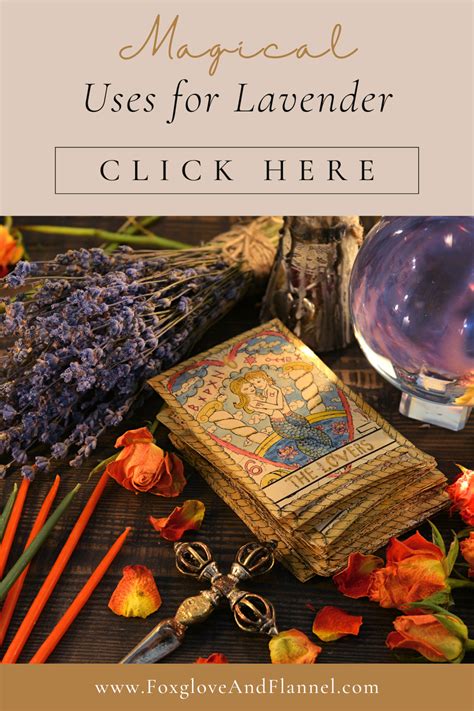 Magical And Medicinal Uses Of Lavender Herbal Magic Herbal Apothecary Lavender Witchcraft Uses