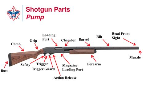 Shotgun Shell Parts Diagram My Xxx Hot Girl