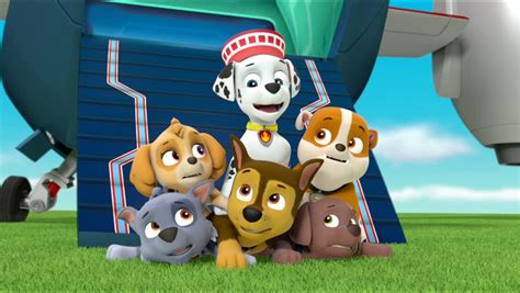 148 resultaten voor 'paw patrol zuma'. Zuma/Gallery/Mission PAW: Pups Save the Royal Throne | PAW ...