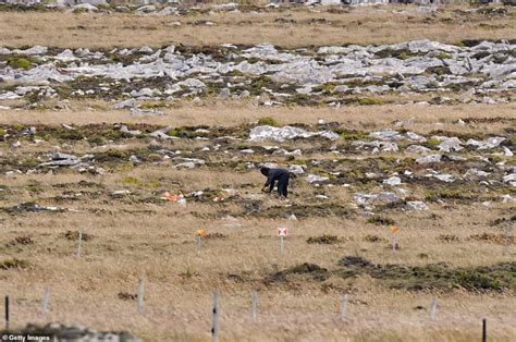 Hundreds Flock To Falkland Islands Beaches Declared Free Of Landmines
