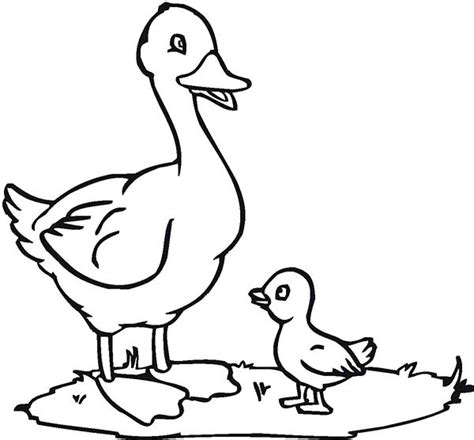 Duck Mother And Her Child Coloring Page Netart