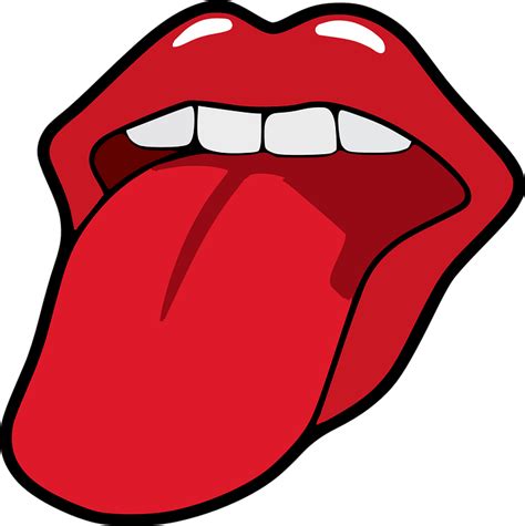 Mouth Open Female · Free Vector Graphic On Pixabay